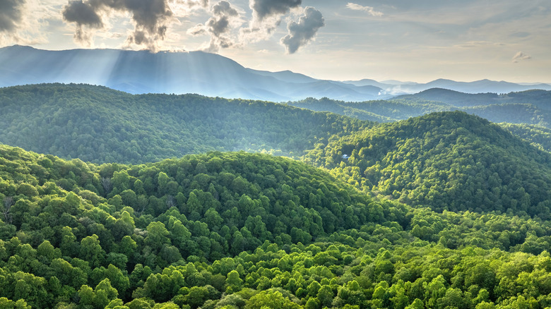 mount mitchell peak in the blue ridge mountains