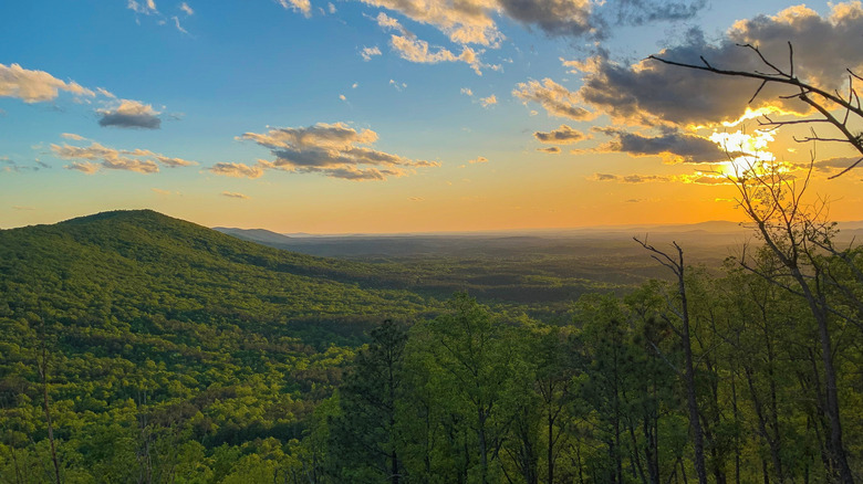 sunset over the Talladega Forest