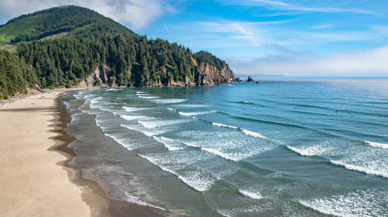 Waves roll in at an empty Short Sand Beach, Oregon, taken from Cape Falcon trail