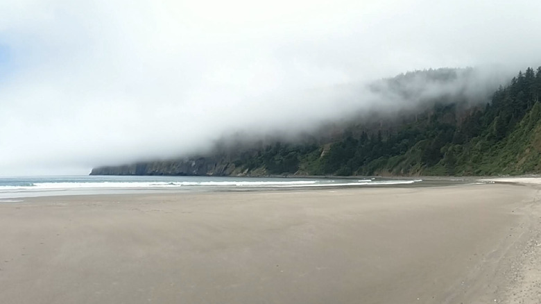 Low, misty cloud hangs over Cape Lookout, viewed from a beach in Oregon