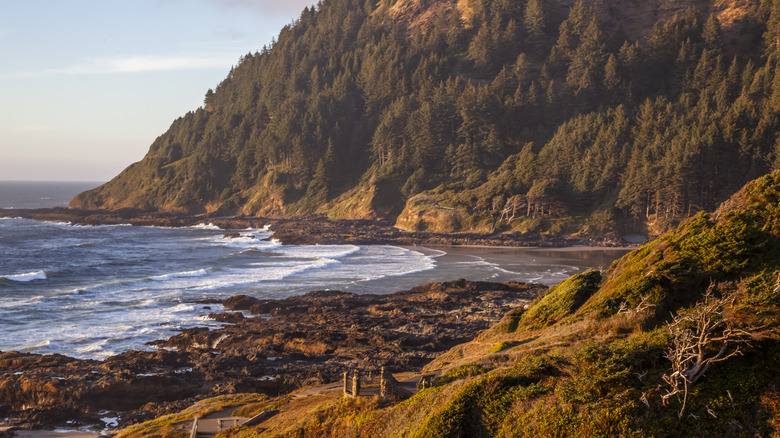 Cape Perpetua on the Oregon Pacific coast
