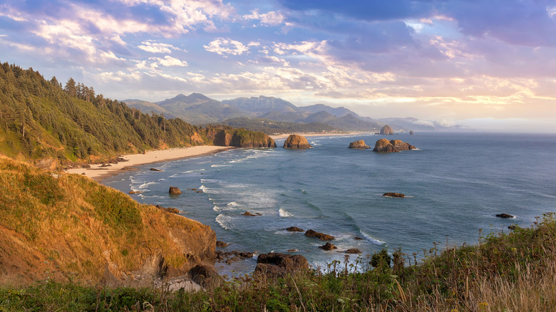 Crescent Beach seen from Ecola State Park, Oregon