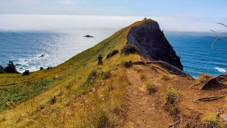 A woman stands with her arms raised along the trail to The Thumb near Lincoln City, Oregon