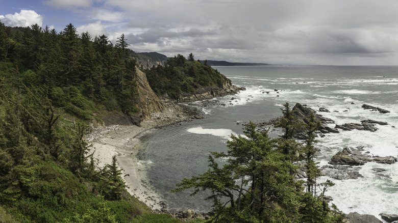 The rugged Oregon coastline at Cape Arago