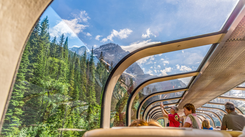 People taking pictures from the panoramic windows of the Rocky Mountaineer train traveling through the Rocky Mountain forest of Canada
