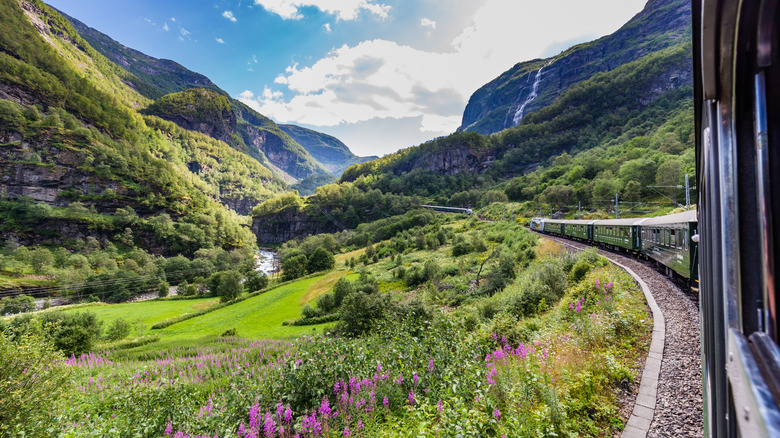 View of a train on the Flam Railway in a flowering Norwegian meadow near river and a mountain with a waterfall