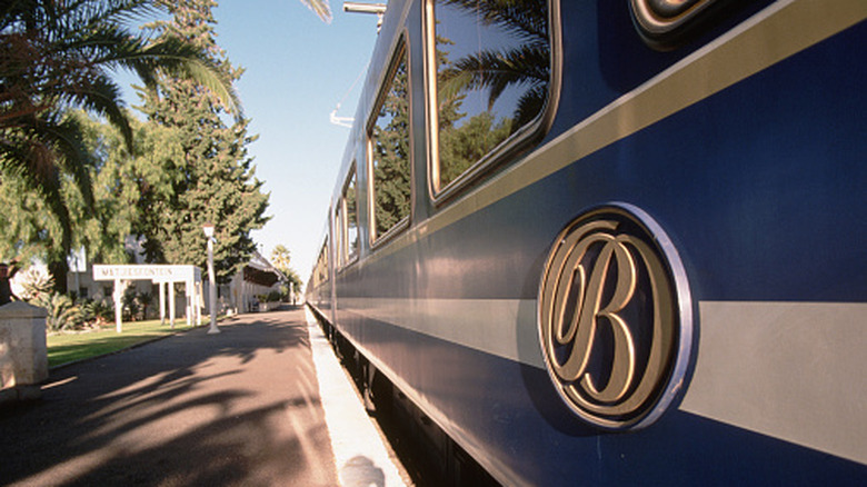 Golden Blue insignia on South Africa's famous luxury Blue Train, parked at a station with palm trees
