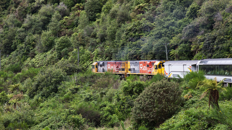 Colorful cars of New Zealand's Tranzalpine Train on a lush mountainside