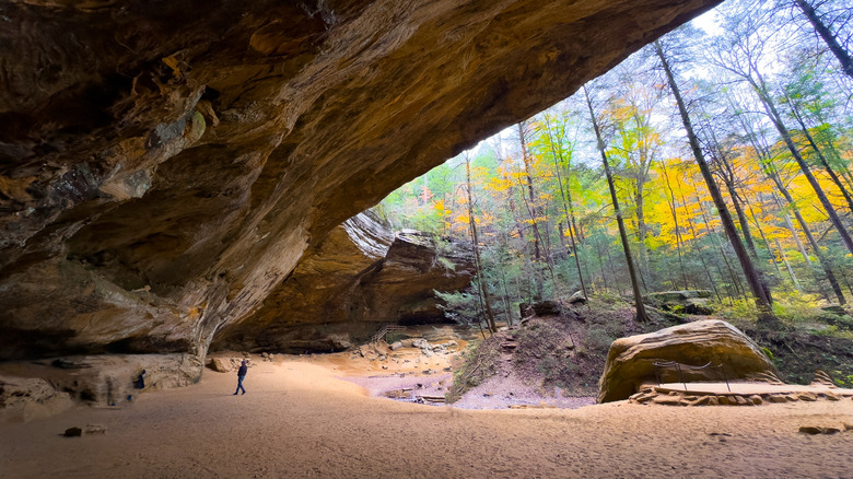 Ash Cave's massive ledge dwarfs a visitor, Hocking Hills State Park, OH