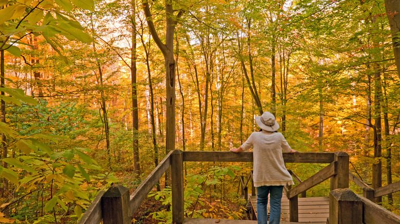 Woman in cardigan, safari hat, and jeans on Nature Trail in Brown Country State Park surrounded by fall foliage