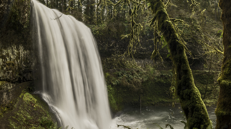 Moss covered trees frame gorgeous view of South Falls at Silver Falls State Park in Oregon