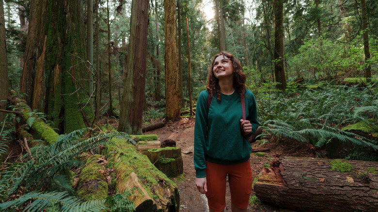 Traveler visiting a national park
