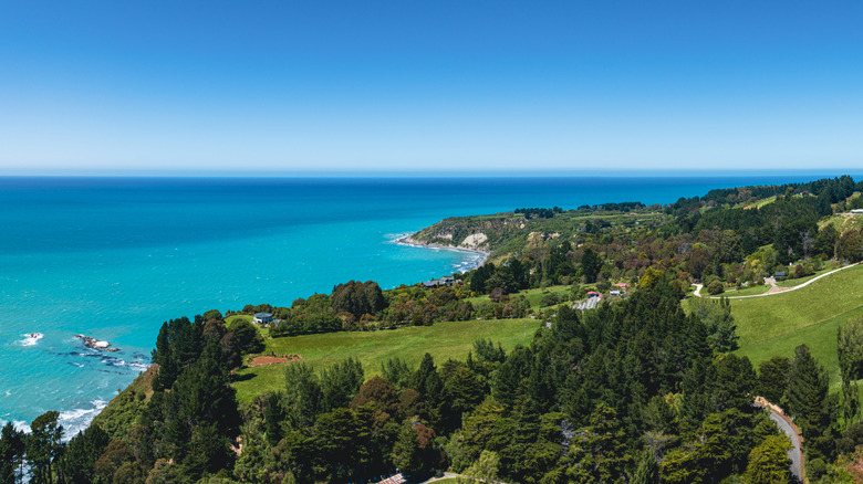 Farms in the Christchurch area of New Zealand's South Island