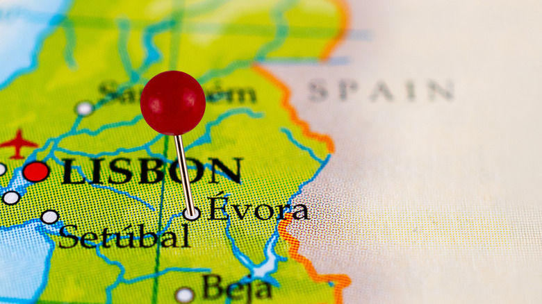 Map of eastern Portugal with a red pin on Evora