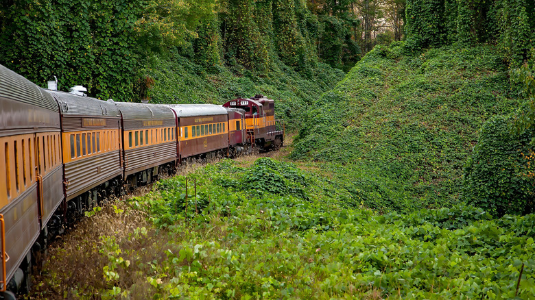 The Great Smoky Mountains Railroad traveling through the area around Bryson City