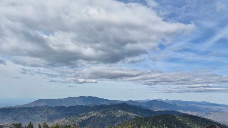 View from the top of Kuwohi, the highest point in the Great Smoky Mountains