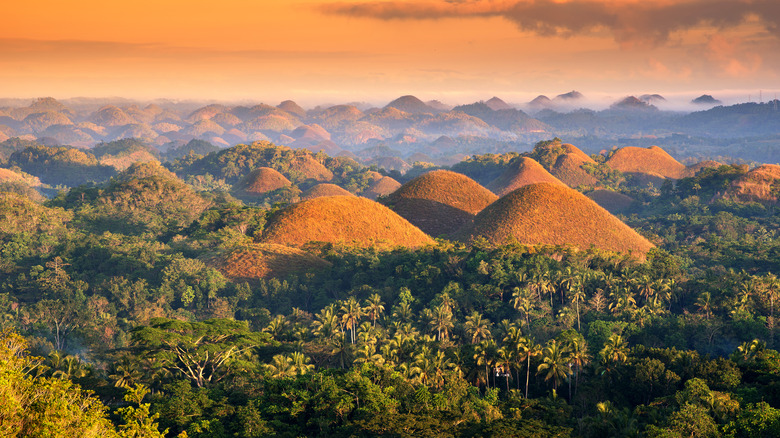 The Chocolate Hills of Bohol, the Philippines