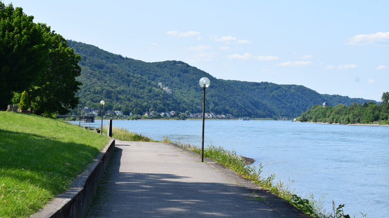A bicycle lane along the Rhine River near Rheinfels