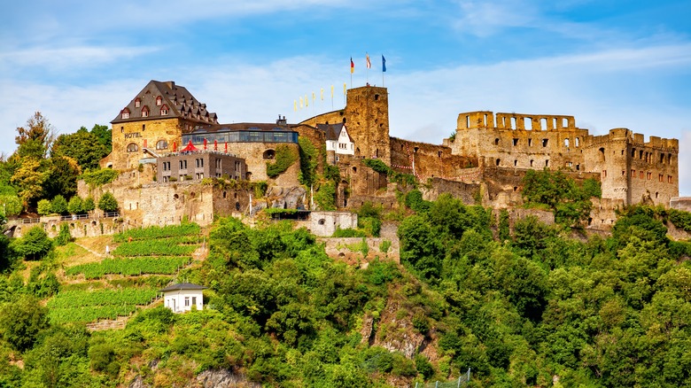 Rheinfels Castle above St. Goar