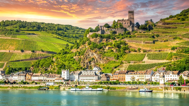 A view of St. Goar over the Rhine River