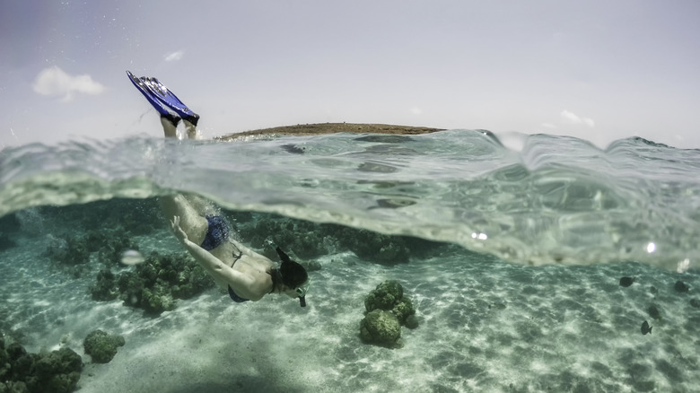Snorkeler diving under waves in aruba
