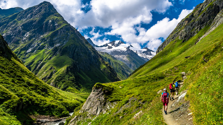 Hiking group in Nationalpark Hohe Tauern, Tirol, Austria