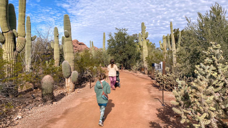 an adult and child walking a trail within the garden