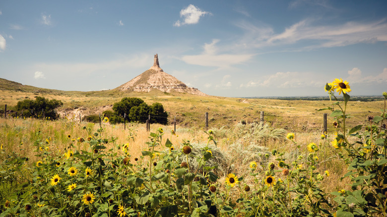 Chimney Rock standing tall over the Nebraska landscape with grass, sunflowers and fences