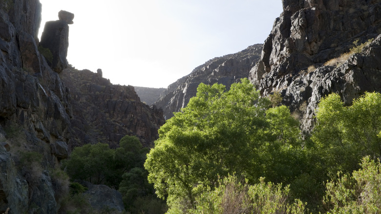 The rocky canyon around Darwin Falls, Death Valley National Park, California