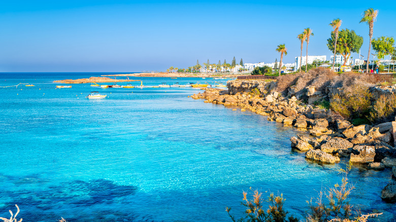 Famous Fig Tree Beach in Cyprus, with turquoise sea and rocks along the coast.