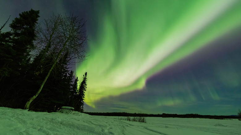 A beautiful aurora borealis over Chena Lake in the winter