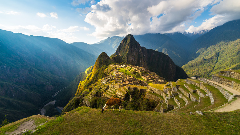 Aerial view of the ruins of Machu Picchu in the Andes of Peru