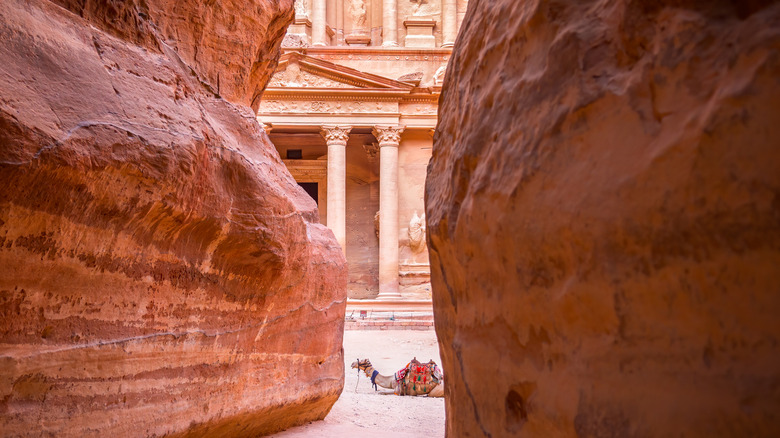 Glimpse of Petra through a canyon with a camel in front of it, Jordan
