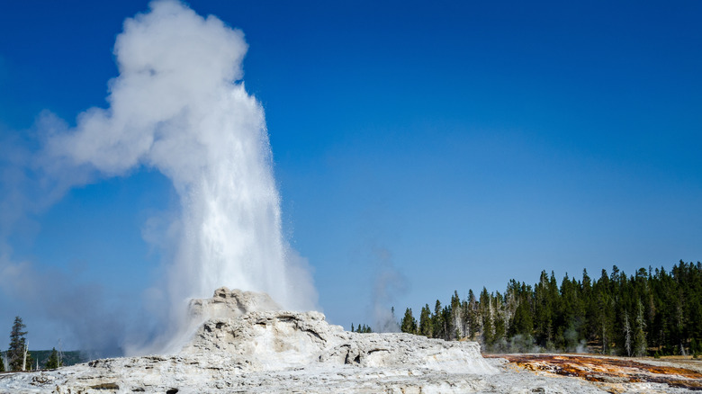 The Castle Geyser erupting in Yellowstone National Park