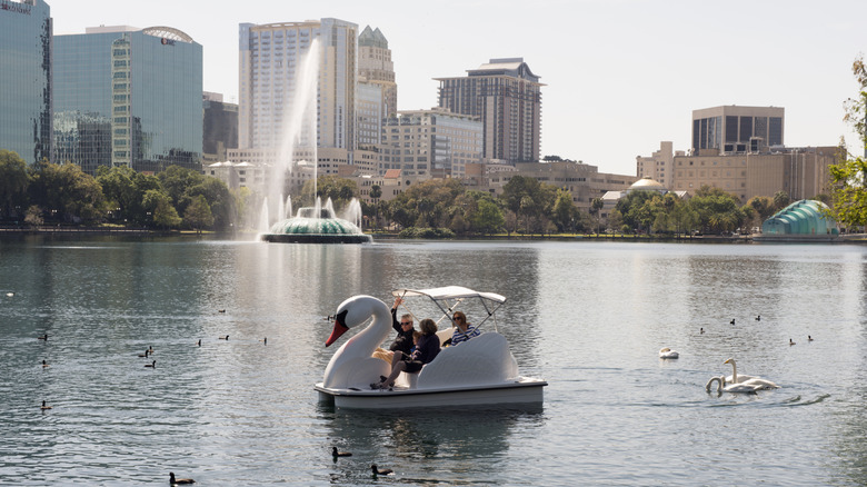 On a sunny afternoon a family tours Lake Eola in downtown via a swan shaped paddle boat. Surrounding them are real life swans and ducks.