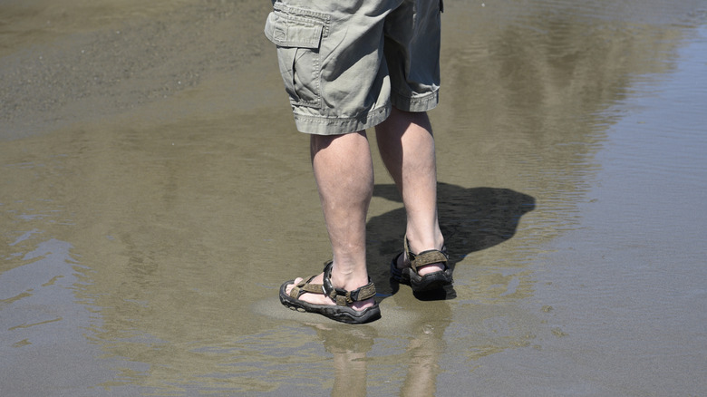 A tourist wearing sandals and cargo shorts walks along the beach at low tide
