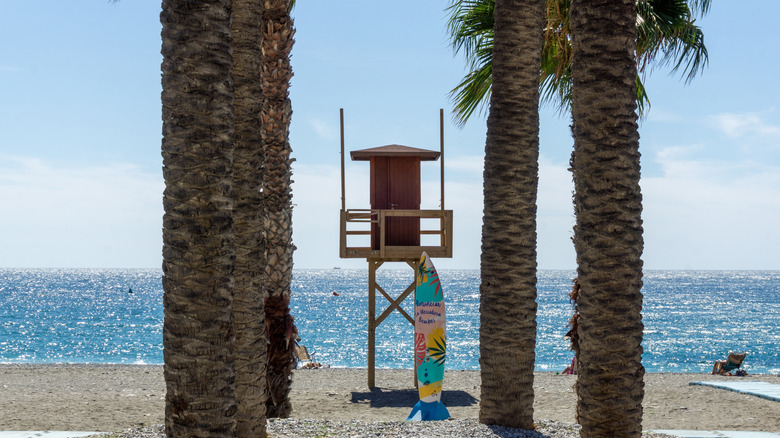 Lifeguard stand and surfboard between palm trees on the beach of Almuñécar, Spain
