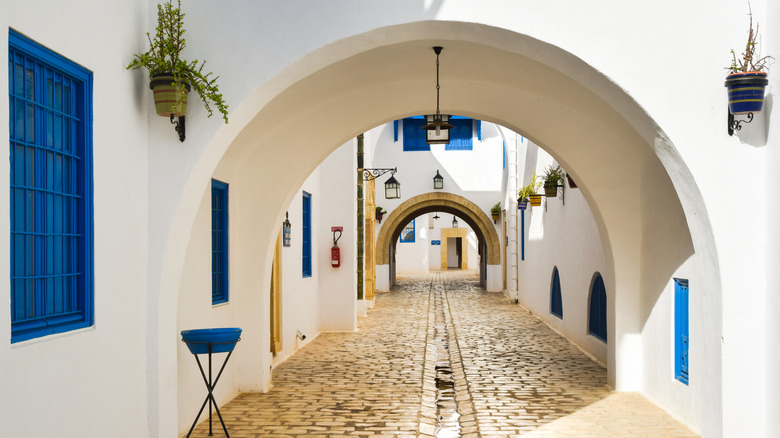 Narrow street in Hammamet, Tunisia with white-washed walls, cobbled streets and blue shutters