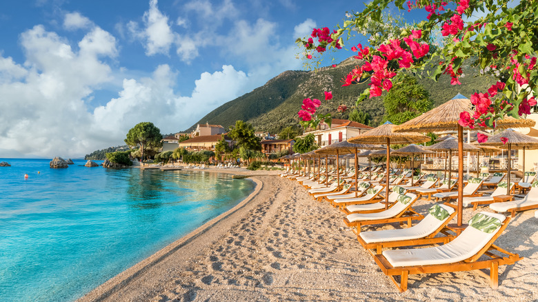 Red flowers and wooden chairs line a sandy beach on the island of Lefkada, Greece