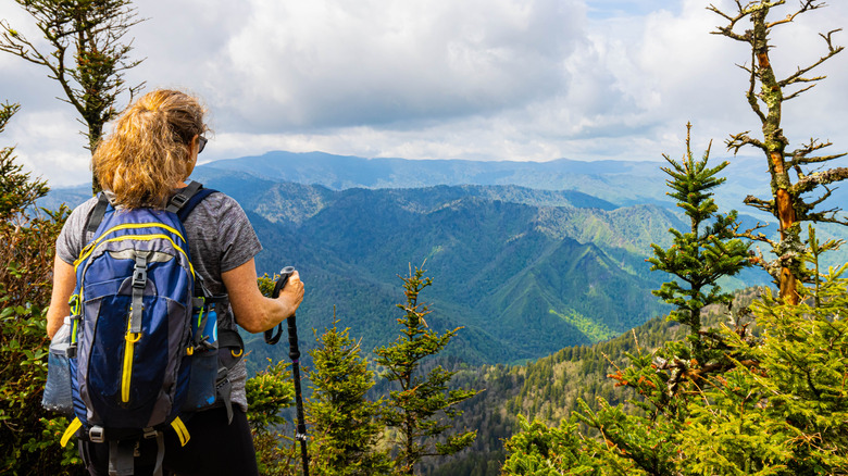A female hiker is pictured wearing a backpack and holding a walking stick, looking out from Cliff Top Viewpoint on Mt. LeConte, Great Smoky Mountains National Park, Tennessee, United States.