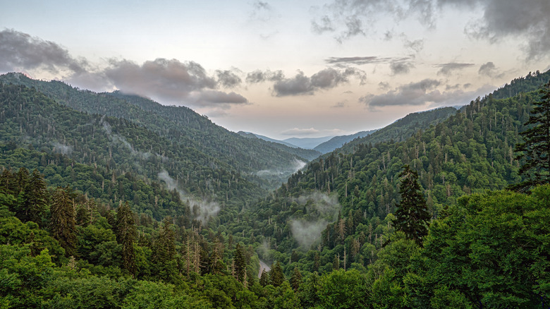 A view of the mountains in Great Smoky Mountains National Park, located in Tennessee and North Carolina, United States.