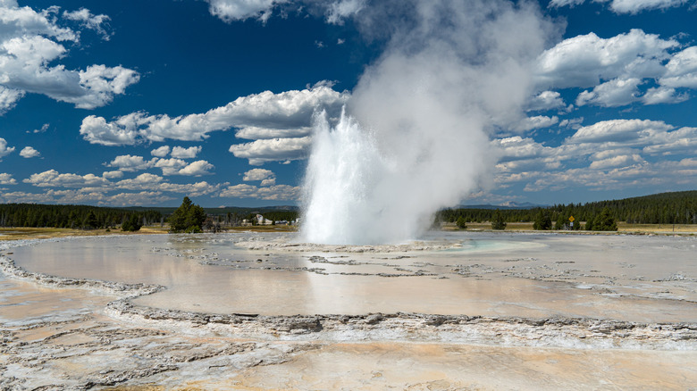 The Great Fountain Geyser is pictured erupting, located in the Lower Geyser Basin of Yellowstone National Park, Wyoming, United States.