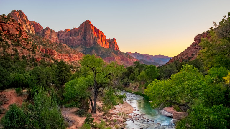 A sandstone mountain summit known as the Watchman is pictured in Zion National Park, Utah, United States.