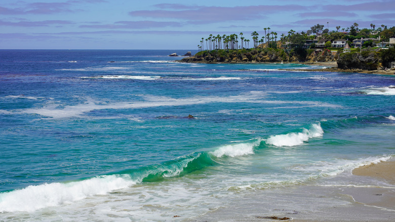 Small ocean waves at Laguna Beach, with houses on a hill in the background