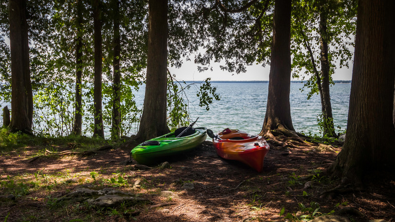 A pair of kayaks sit under trees on the lakeshore in Michigan
