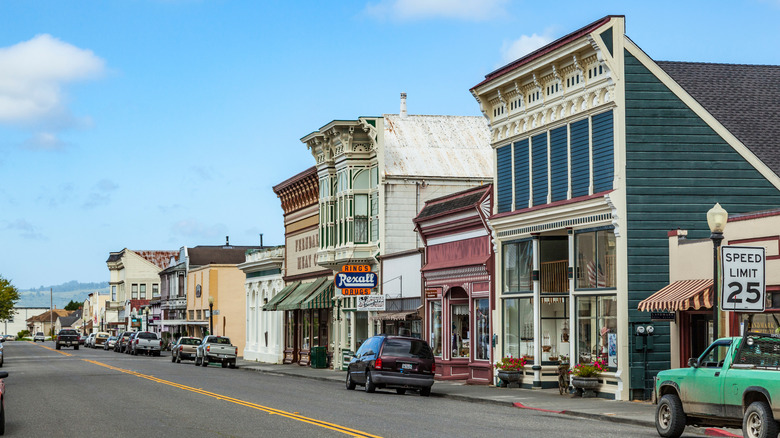 Buildings and cars parked on a road in the town of Ferndale, California