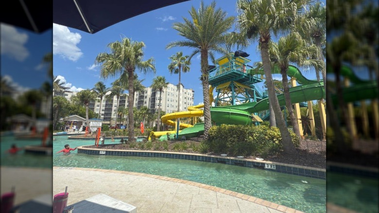 The Surfari Water Park at The Grove Resort, with slides behind palm trees and a pool