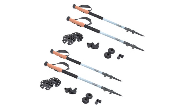 Cascade Mountain Tech Trekking Poles on a white background