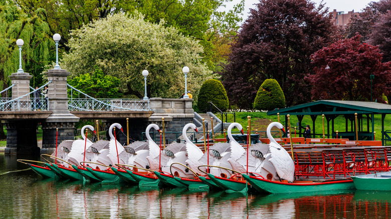 Empty swan boats line a lagoon at the Boston Public Garden with a pedestrian footbridge in the background.