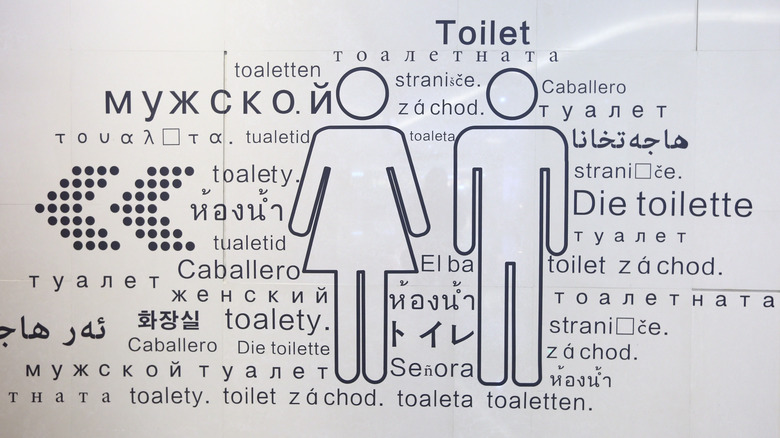 A sign for a restroom with "toilet" written in multiple languages
